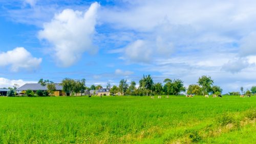 terrain-agricole-frais-notaires